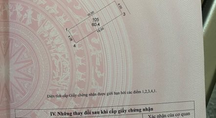 Chính chủ cần thanh khoản 60,4m đất Thái Bình Mai Lâm, Đông Anh đường 2m ngõ thông