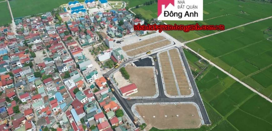 Bán đất đấu giá Dục Tú sát đường 60m cầu Tứ Liêm