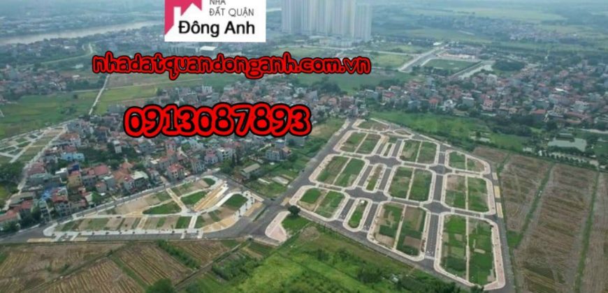 Chính chủ gửi bán đất đấu giá điểm X1 dịch vụ Lê Xá, Mai Lâm, Đông Anh, Hà Nội