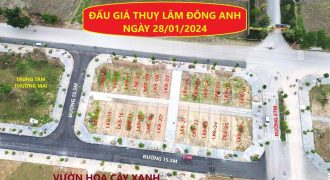 Chuyển nhượng lô đấu giá áp góc xẻ khe đất đấu giá mặt đường liên xã Thuỵ Lâm, Đông Anh