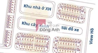 CHUYỂN NHƯỢNG LÔ GÓC ĐẤU GIÁ X6 HÀ LỖ, LIÊN HÀ, ĐÔNG ANH