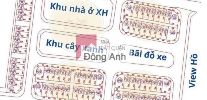 CHUYỂN NHƯỢNG LÔ GÓC ĐẤU GIÁ X6 HÀ LỖ, LIÊN HÀ, ĐÔNG ANH