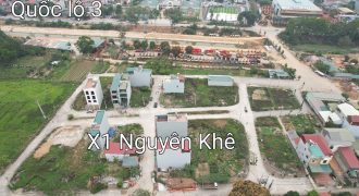 Bán đất đấu giá X1 Nguyên Khê, Đông Anh, Lô góc