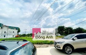 Đất Đấu Giá Đình Tràng – Dục Tú – Đông Anh 2 mặt đường trước và